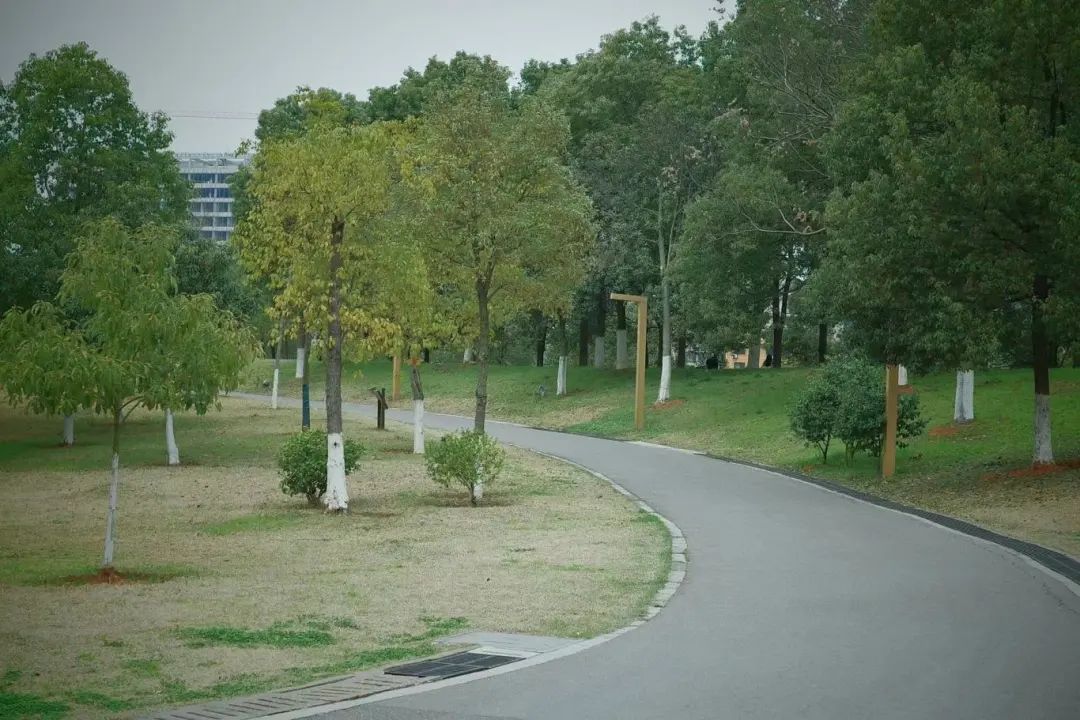 DƬ